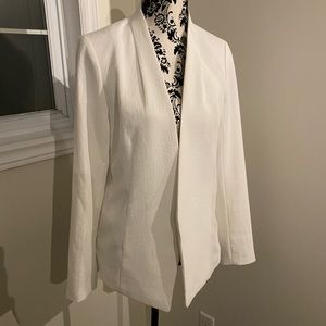 Aritzia Babaton Keith jacket